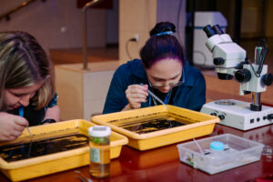 Explorus 13-14-11-2025-003 (1)