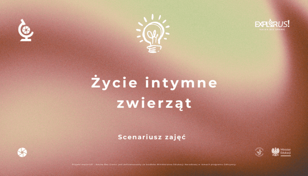 Explorus (880 x 513 px) (6)