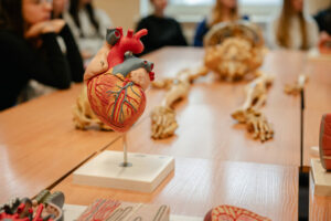 Explorus_Kalisz 24.11.2025-133